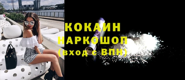 СК Алексин