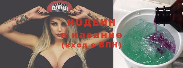 ГАЛЛЮЦИНОГЕННЫЕ ГРИБЫ Арсеньев