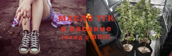 СК Алексин