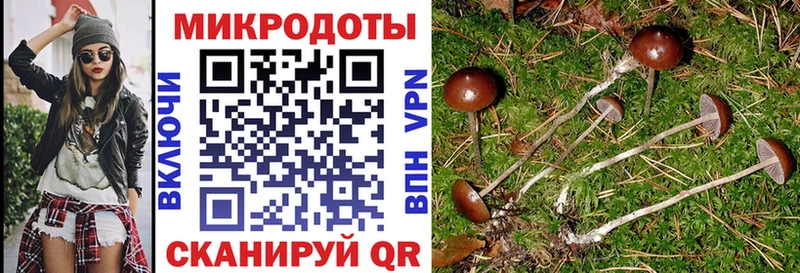 Псилоцибиновые грибы ЛСД  цена наркотик  Вологда 