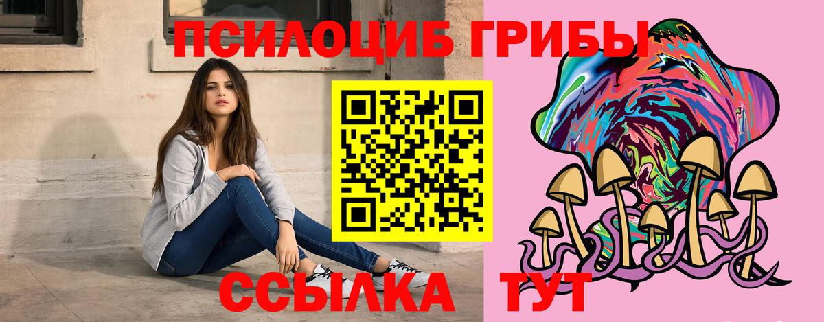 Галлюциногенные грибы Cubensis  Вход с VPN  Вологда 