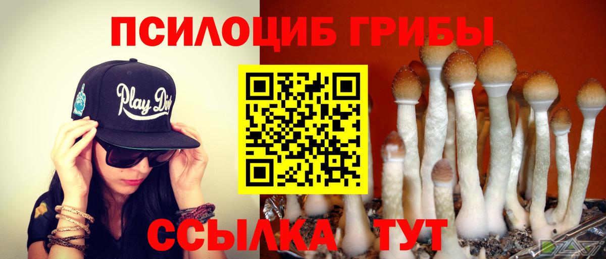 Вологда  COCAIN  Меф   Каннабис  Гашиш  Вход с VPN  ГАШ  НБОМе 